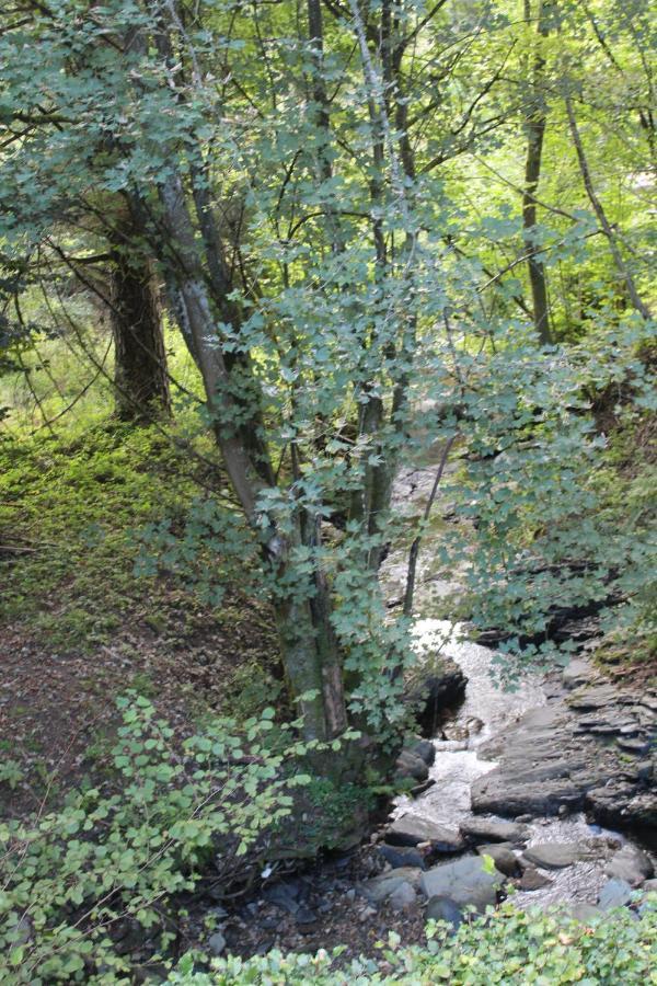 モンシャウ Rivendell 9ヴィラ エクステリア 写真